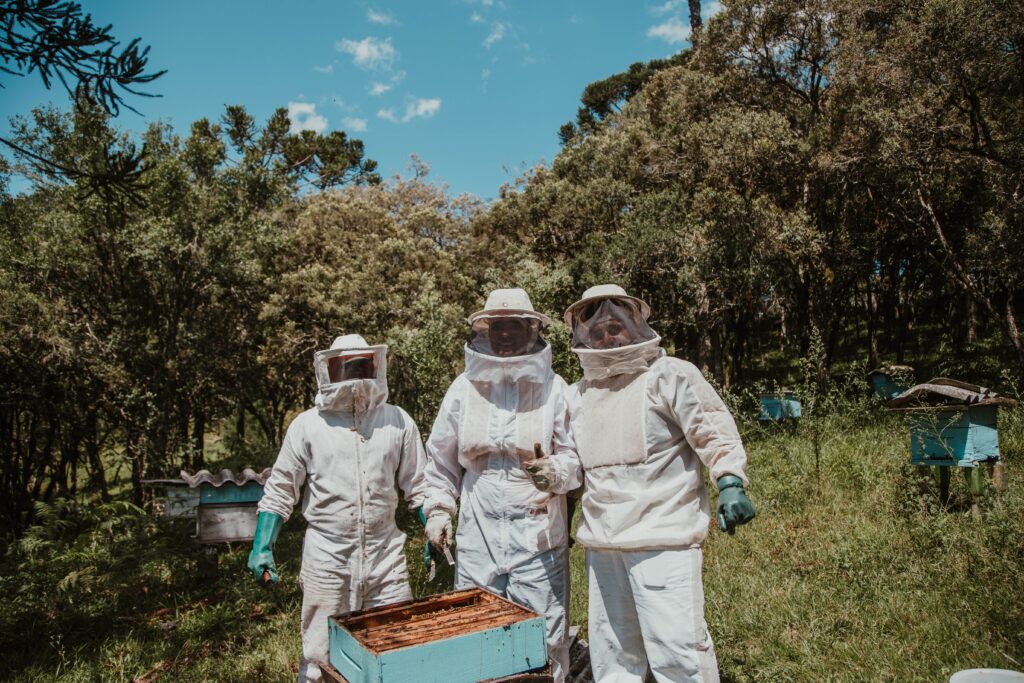 How to Start Beekeeping in Urban Areas